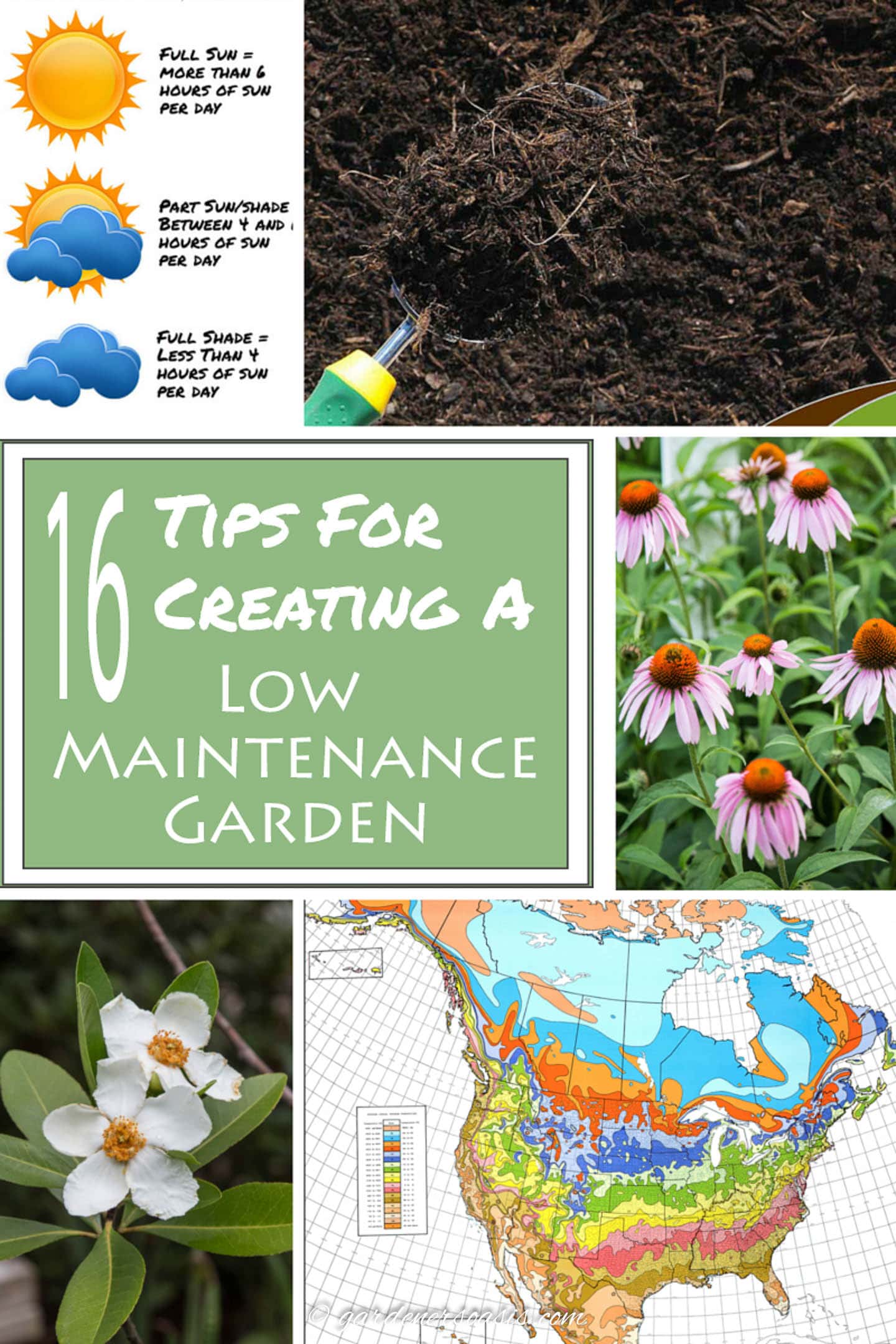 Tips for creating a low maintenance garden