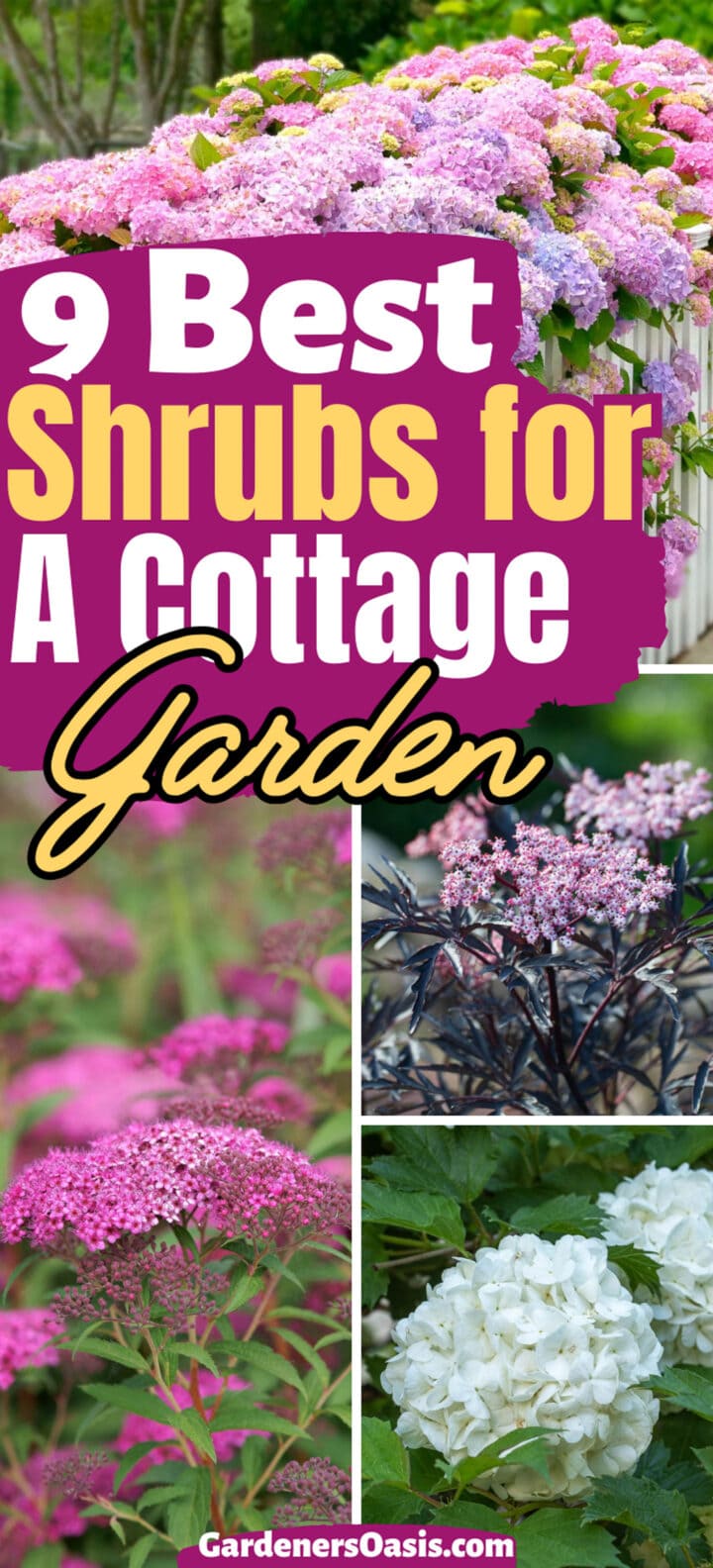 Best Shrubs For A Cottage Garden