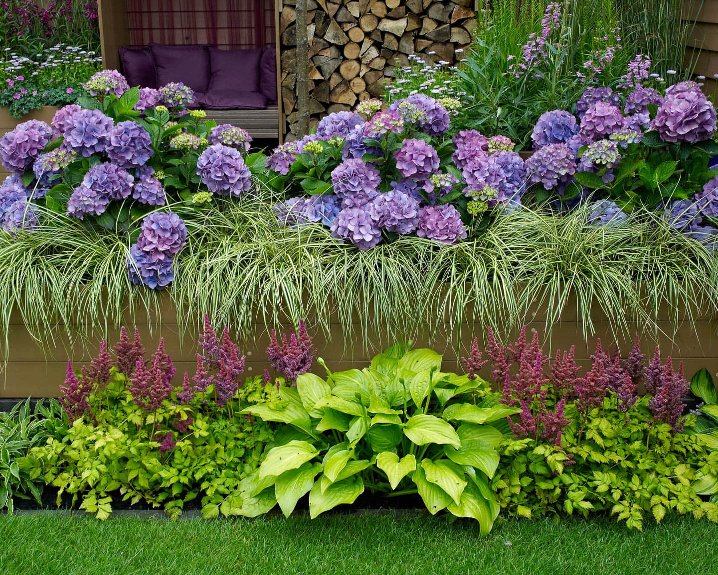 Hosta and Astilbe in front of a planter filled with blue Hydrangeas and Sedge 