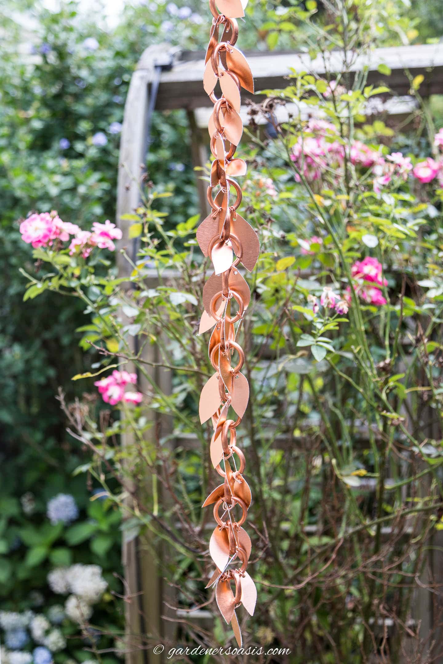 DIY rain chain with leaves hanging in the garden