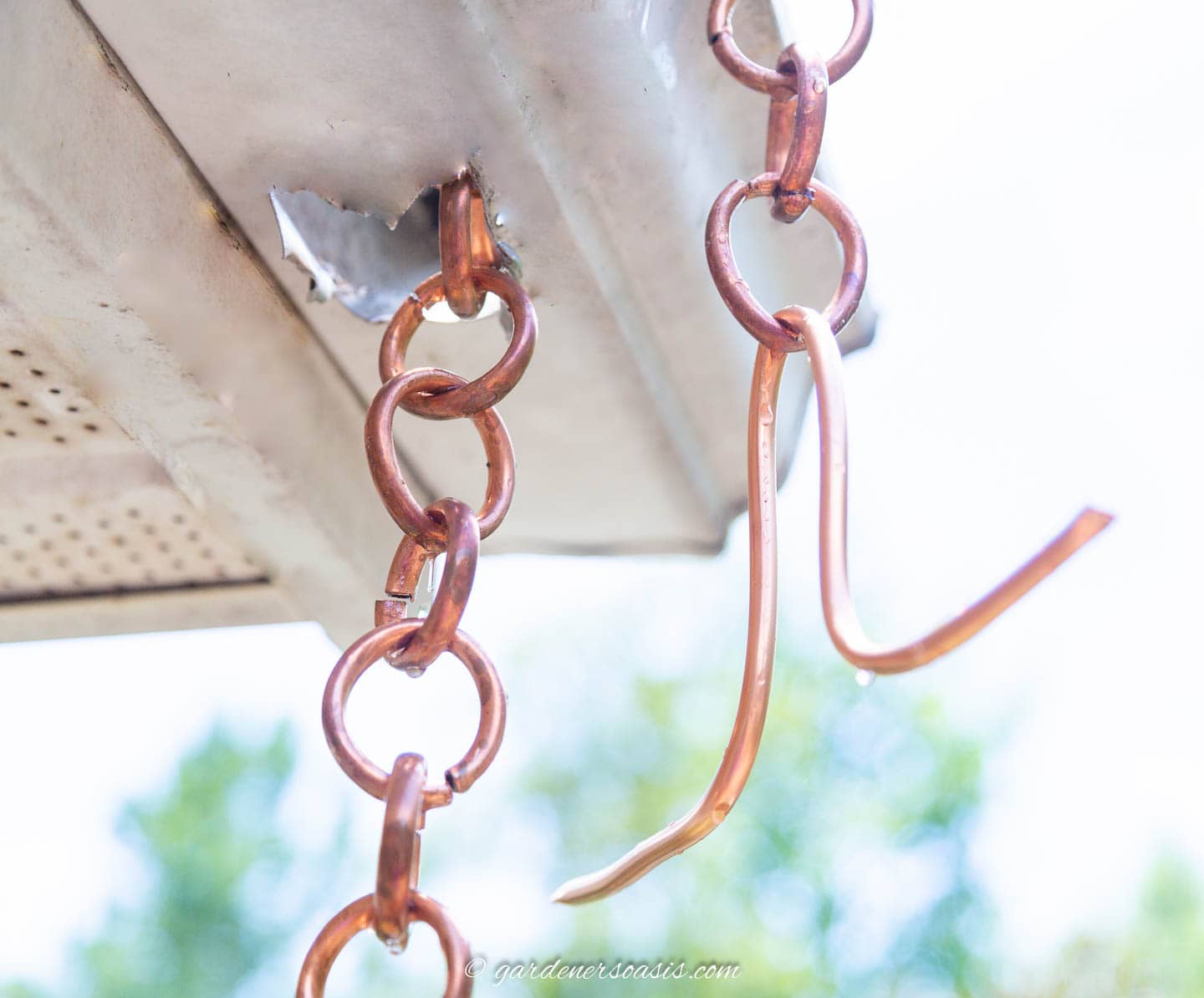 Rain chain hanging over a gutter with a V-hook attached on one end