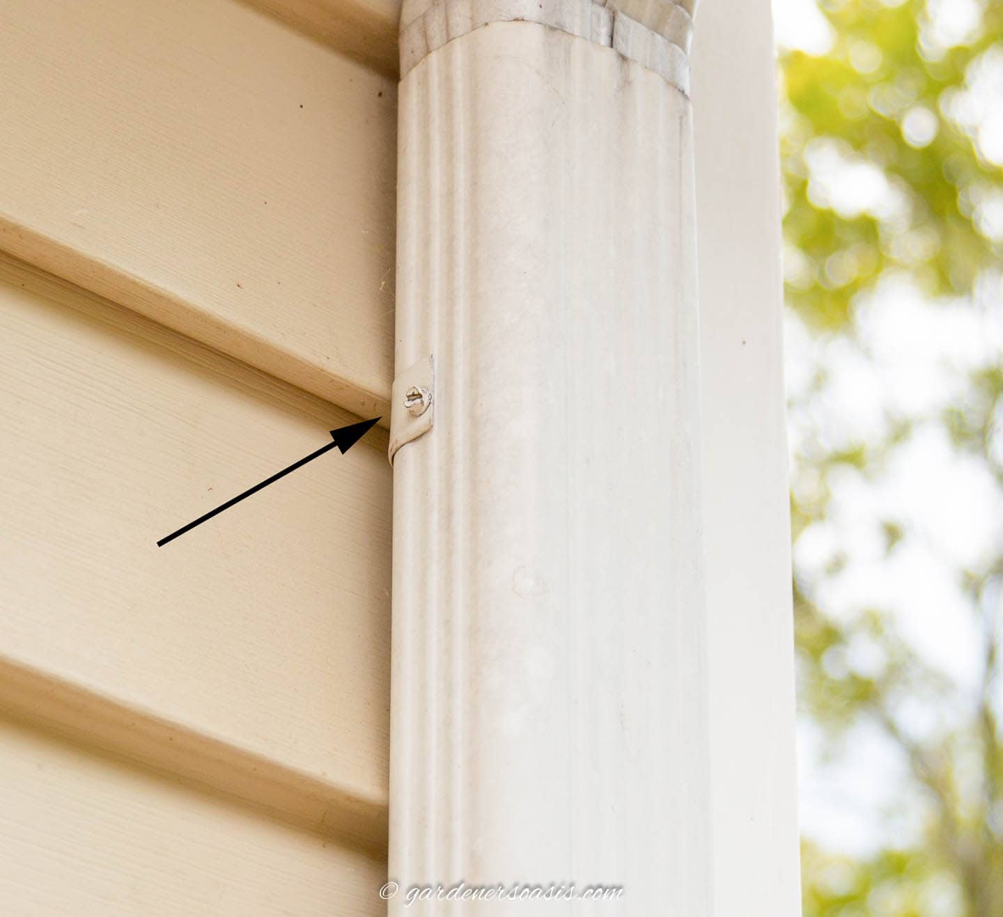 The bracket and screw holding a downspout to the house