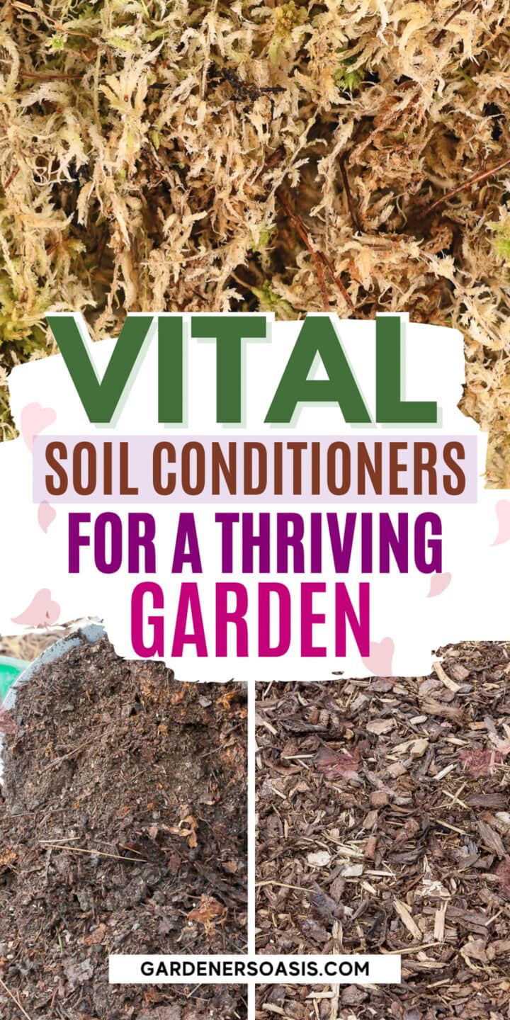 Soil Conditioners: Essential Amendments For A Thriving Garden