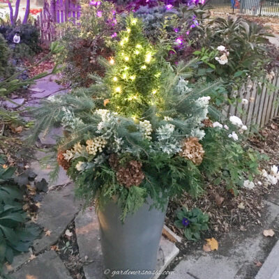 A DIY evergreen winter planter by a front door sidewalk.
