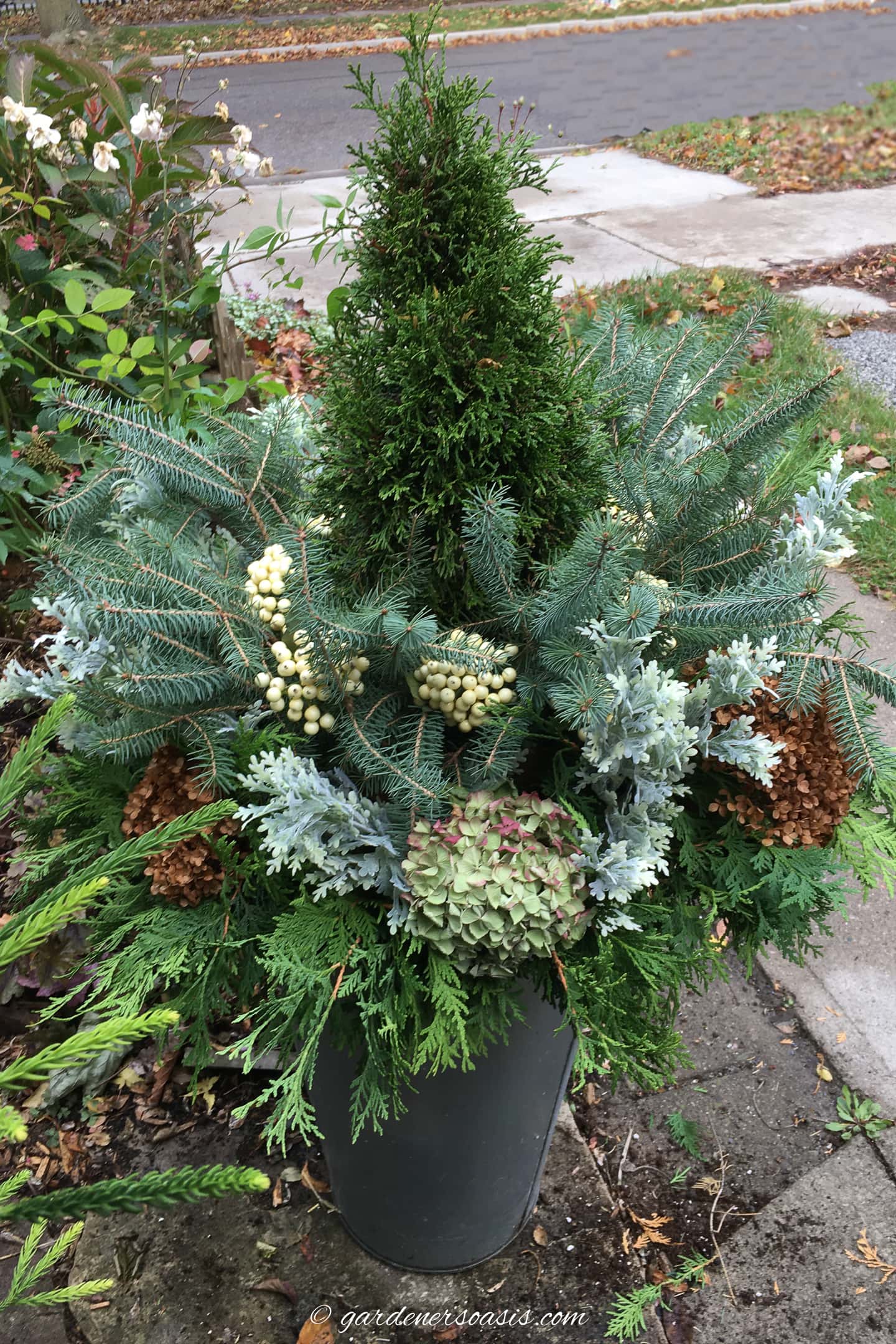 An outdoor DIY evergreen winter planter beside the front door.