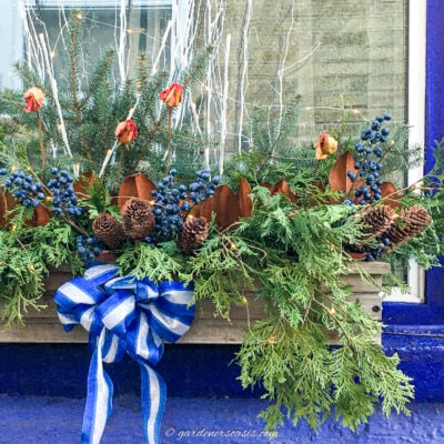 A DIY winter window box with pine cones, evergreens and blue and white accents.