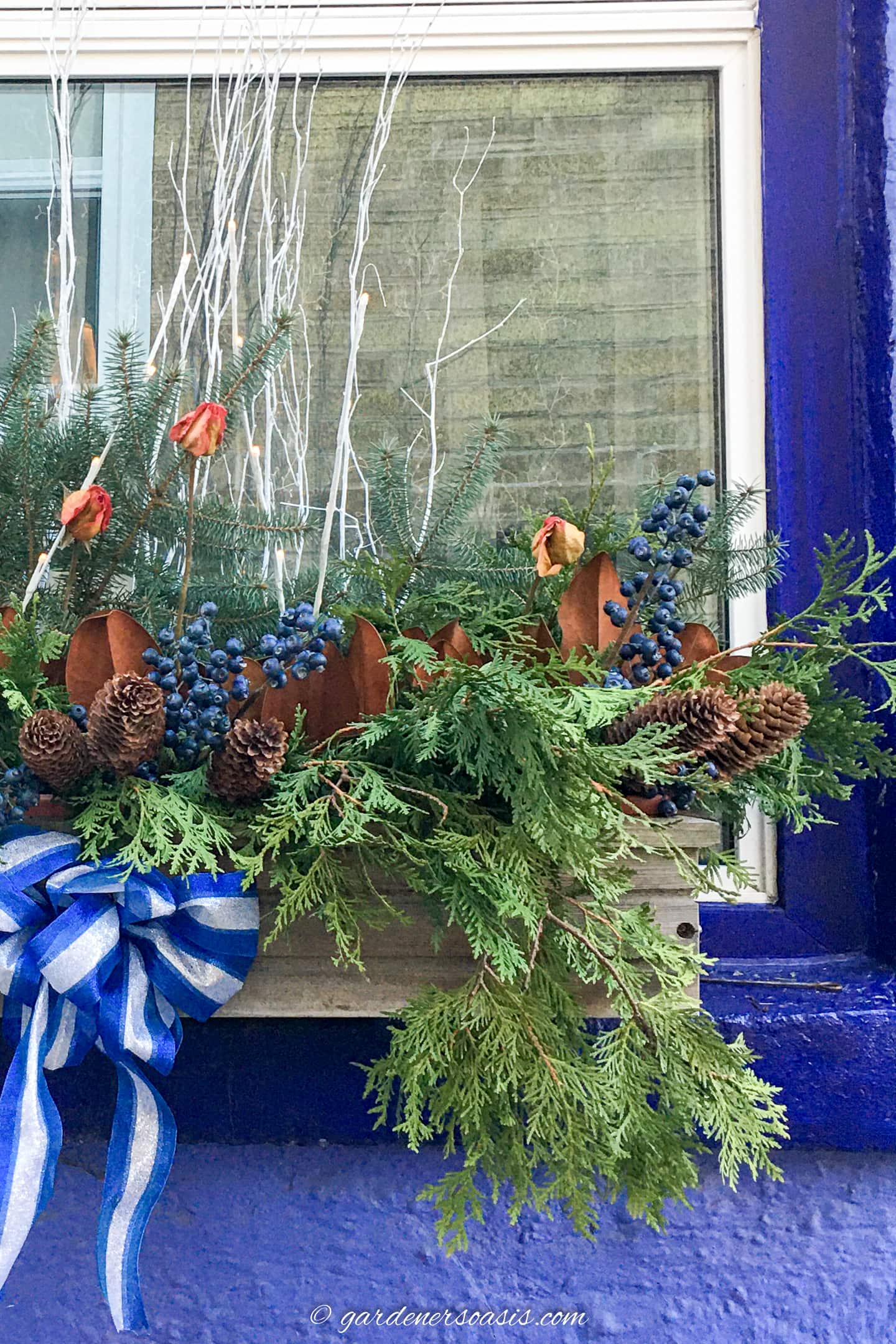 winter window box with evergreen branches, pine cones, blue berries and dried roses