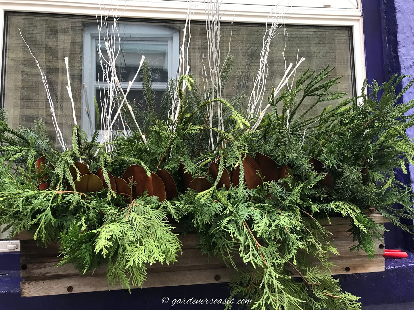 A winter-themed window box filled with evergreens and twigs.