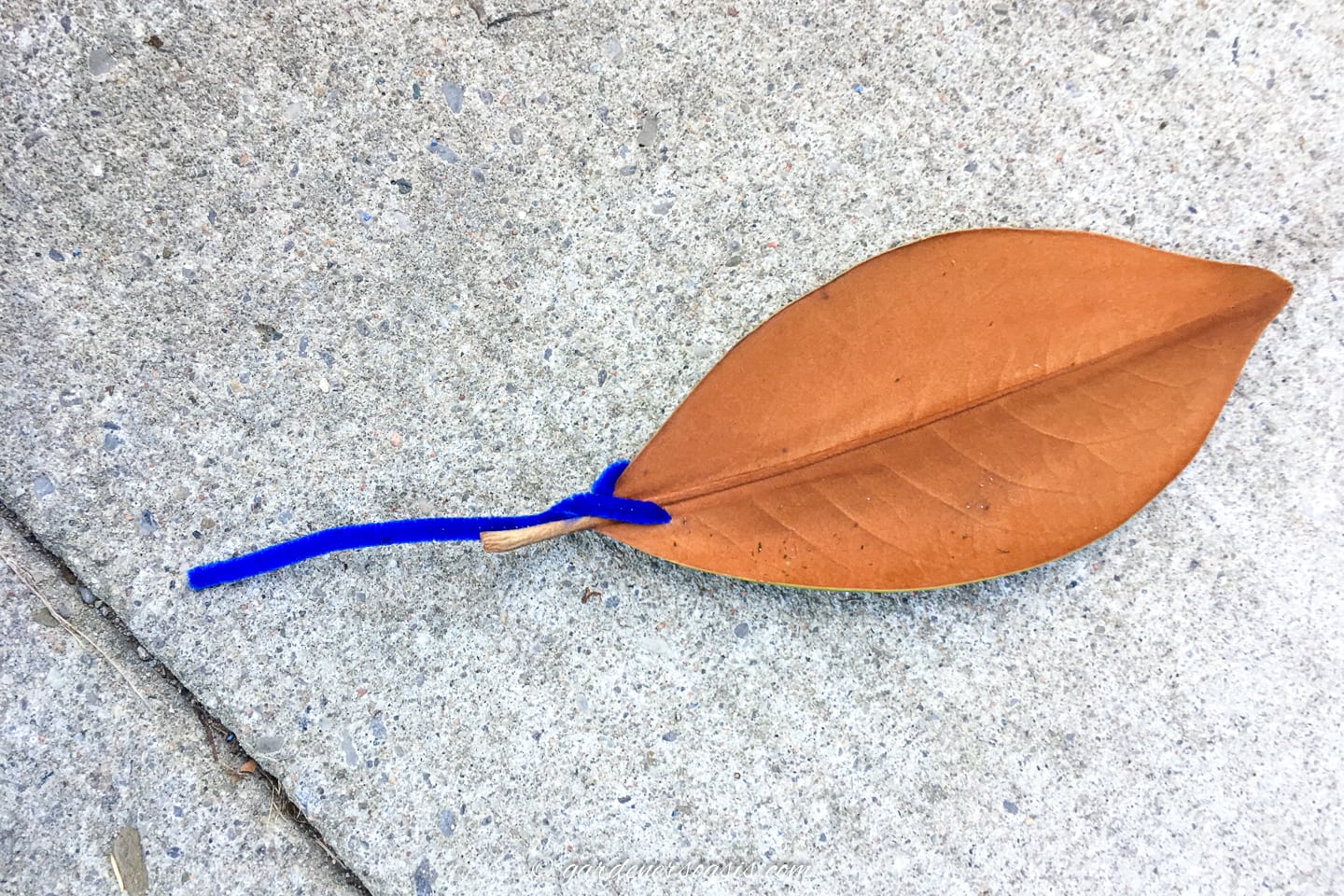 Magnolia leaf made into a pick with a pipe cleaner