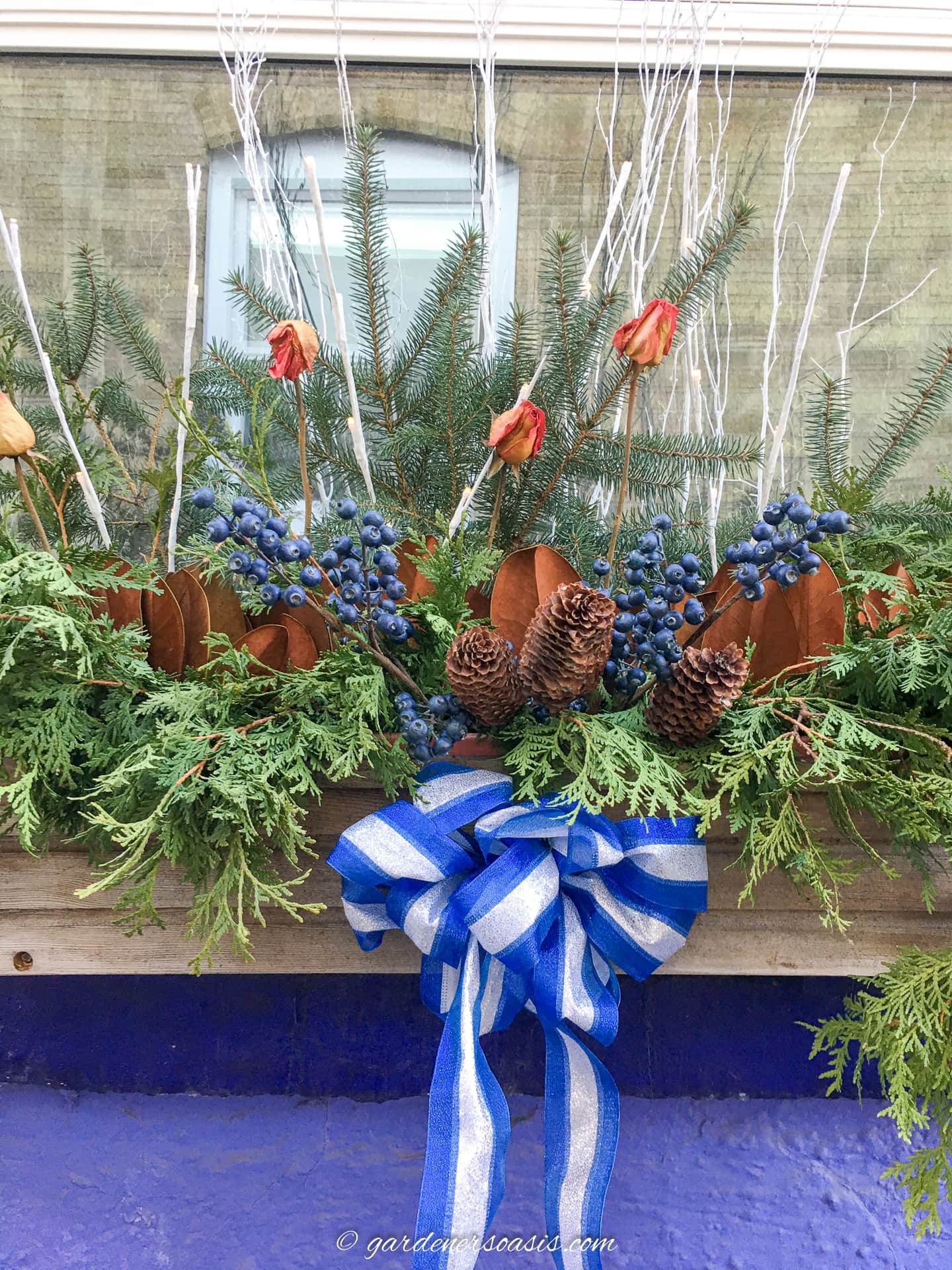 A winter window box decorated with evergreens, pine cones, dried roses, blue berries, and a blue ribbon.