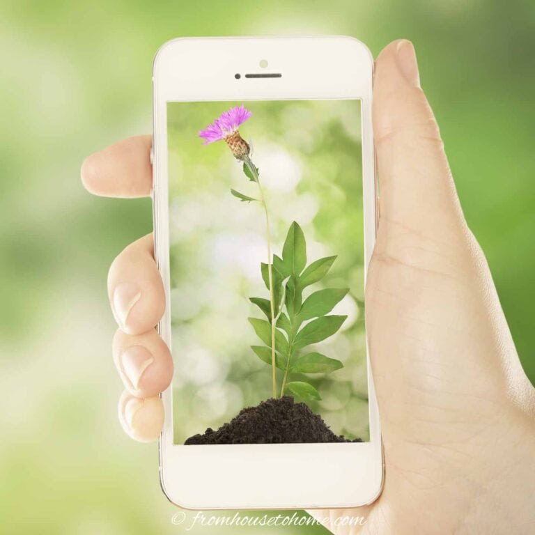 gardening app open on a cell phone