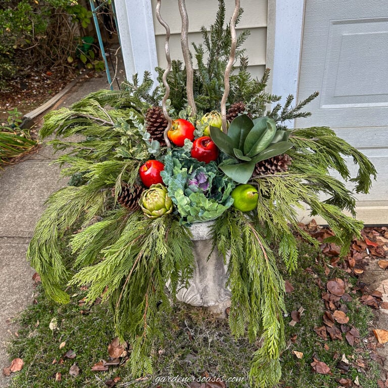 urn winter planter with cedar boughs, fir branches, magnolia leaves, holly branches, artificial fruit, ornamental cabbage, and gold manzanita branches