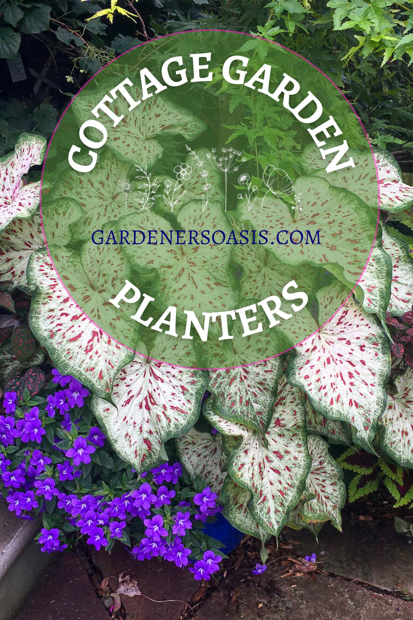 cottage garden planters