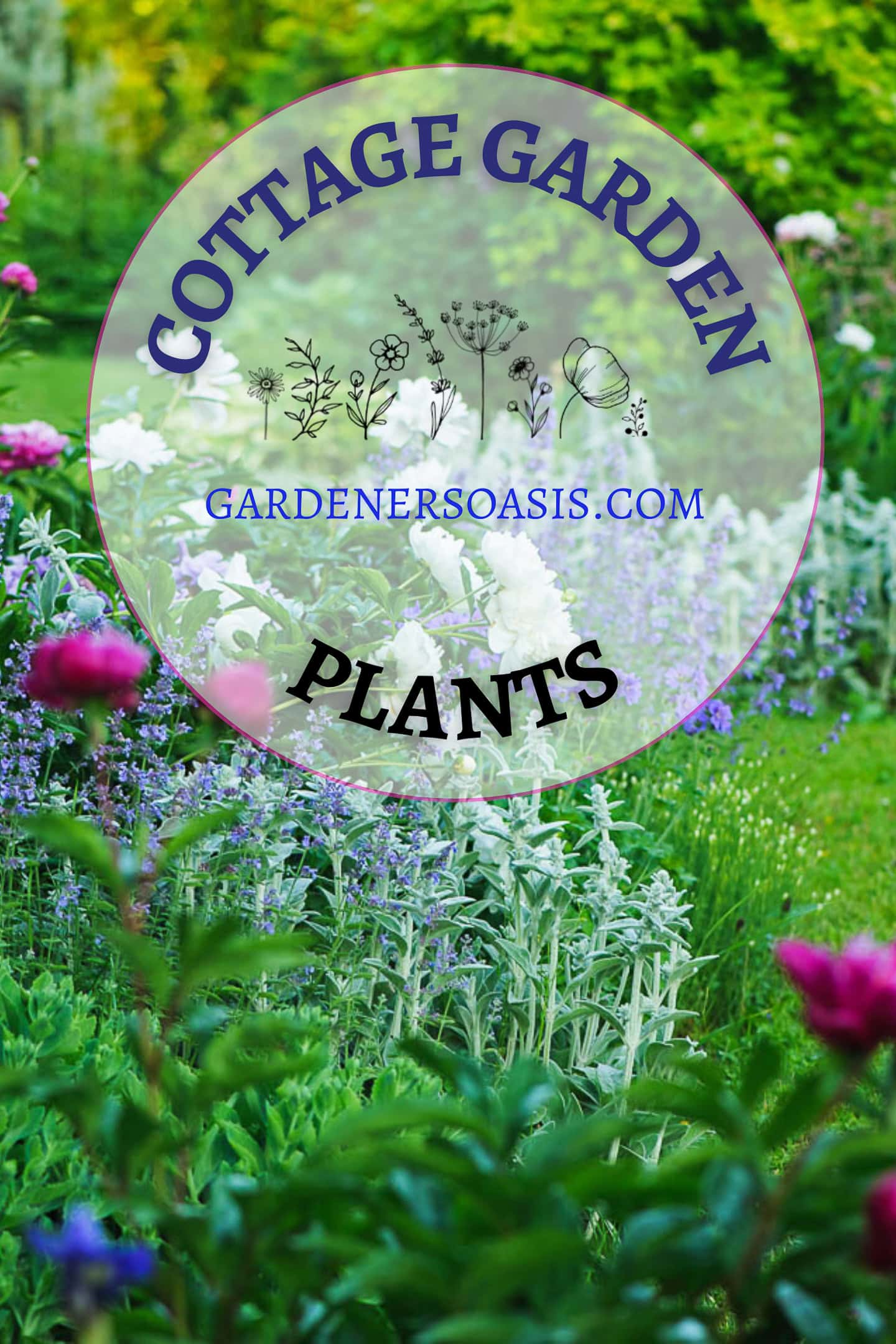 cottage garden plants