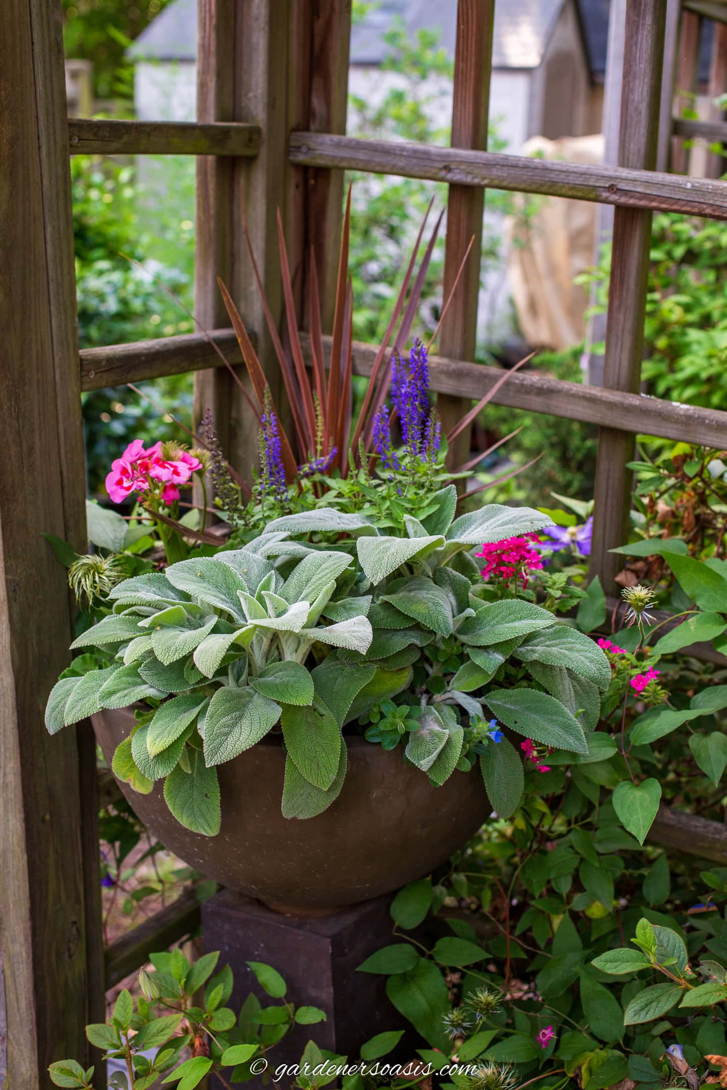 A container with annuals in the middle of a cottage garden