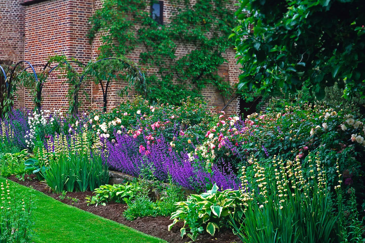 A perennial border with lots of flowers