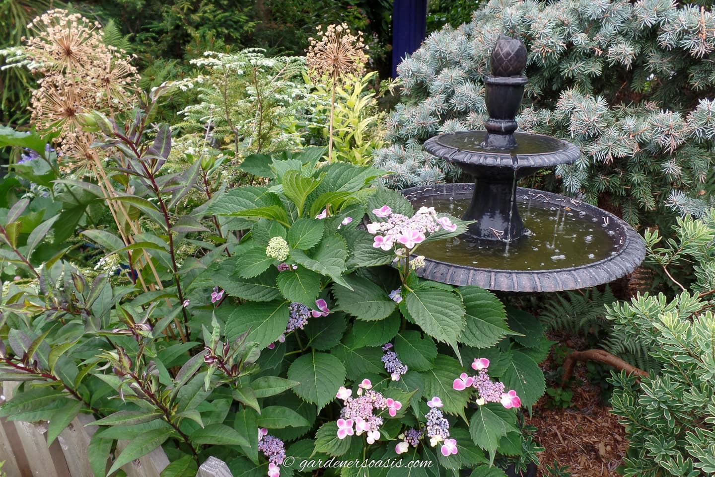 A bird bath in a garden with perennials and shrubs