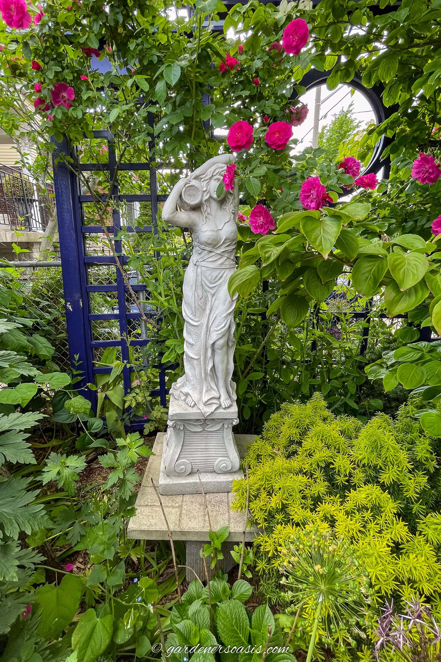 An informal garden with roses, and other plants growing in front of a purple wood trellis