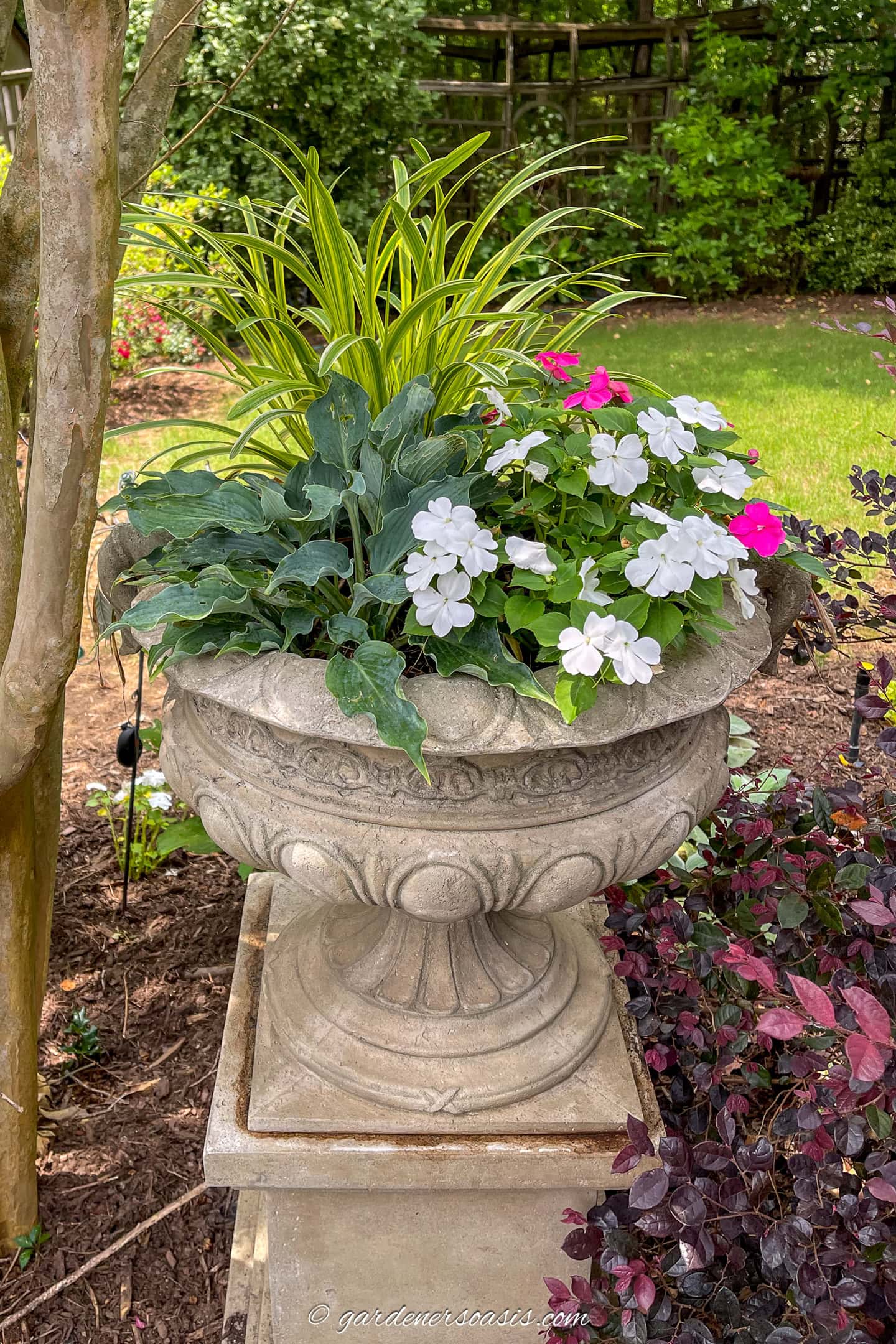 A hosta, liriope and impatiens planted in an 18" container