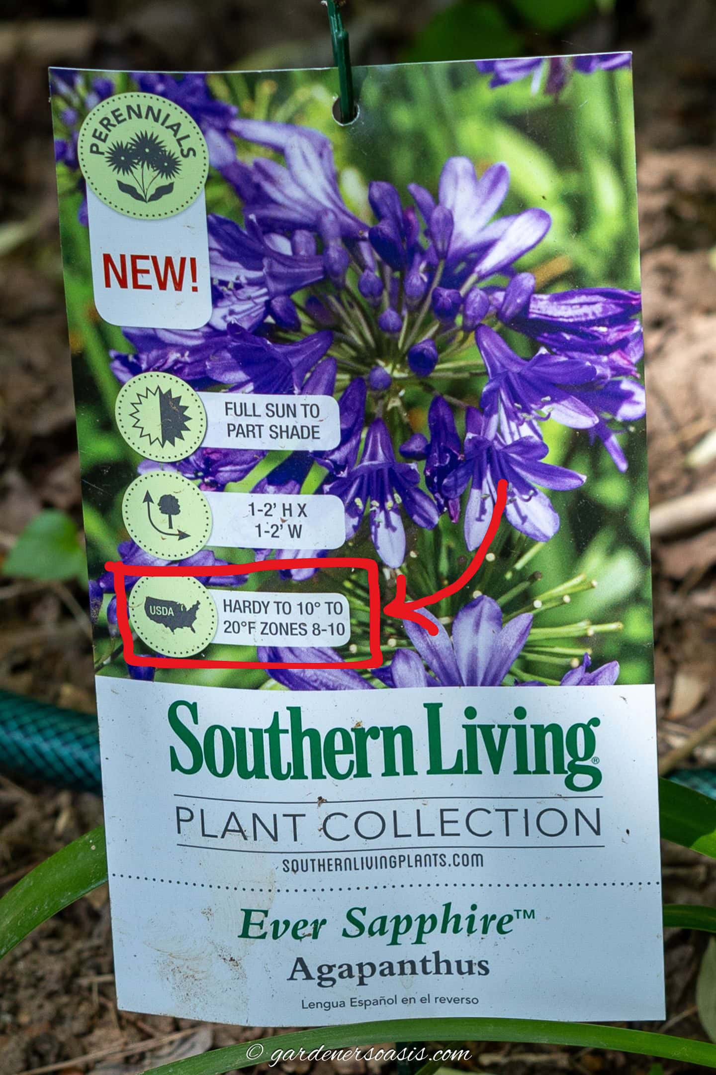 plant label with gardening zone