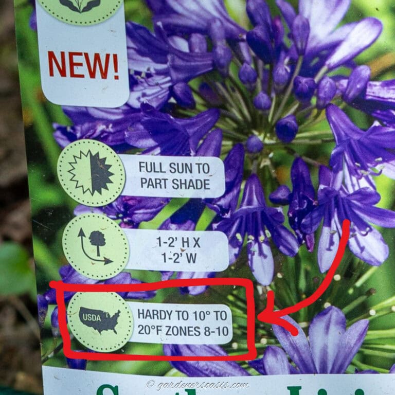 plant label with the gardening zone highlighted