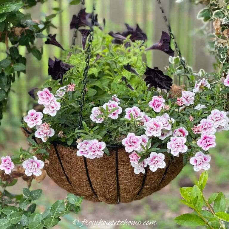 20 Gorgeous Hanging Basket Ideas You Can Copy