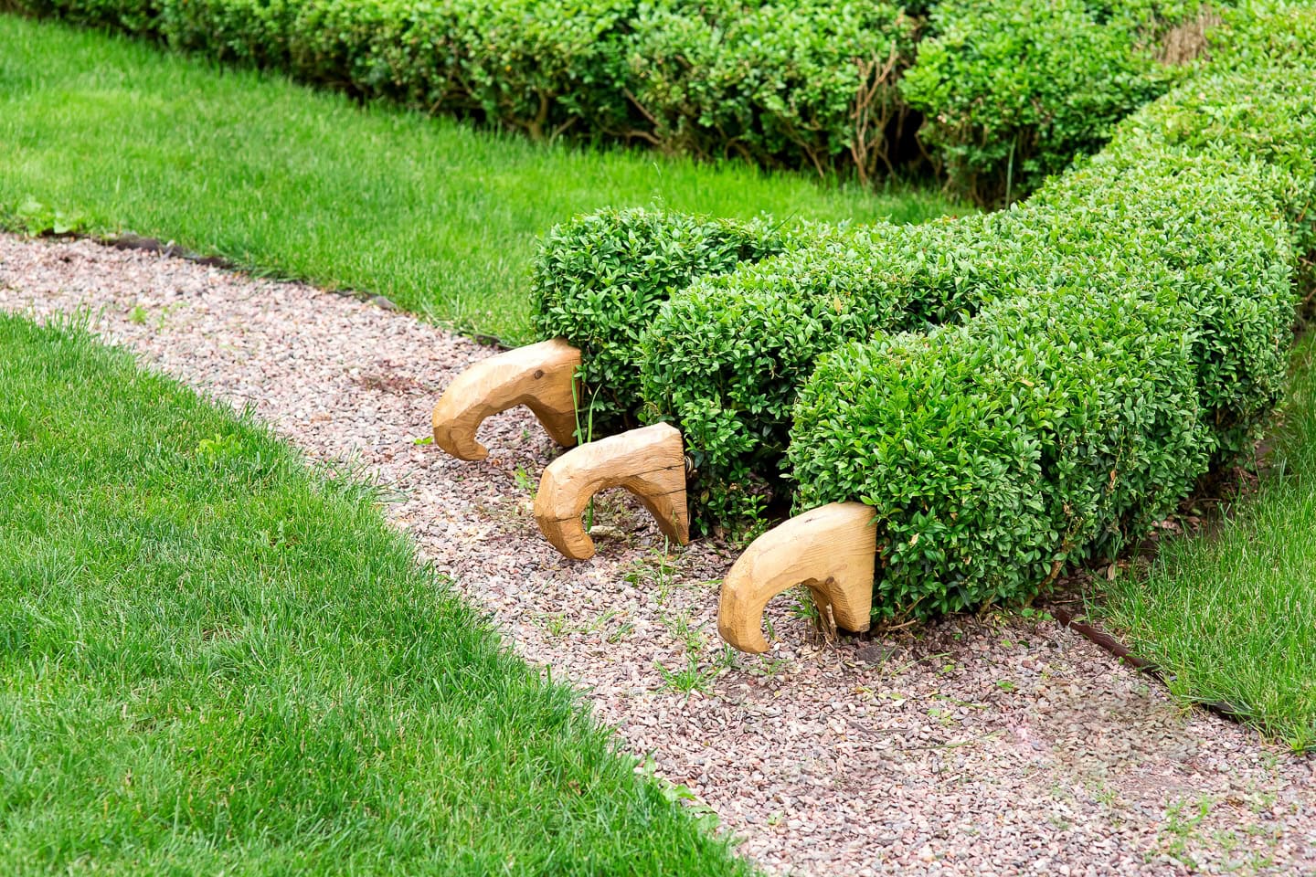A hedge trimmed to look like an animal with three wooden claw-like hand sculptures emerging from the greenery onto a gravel path.