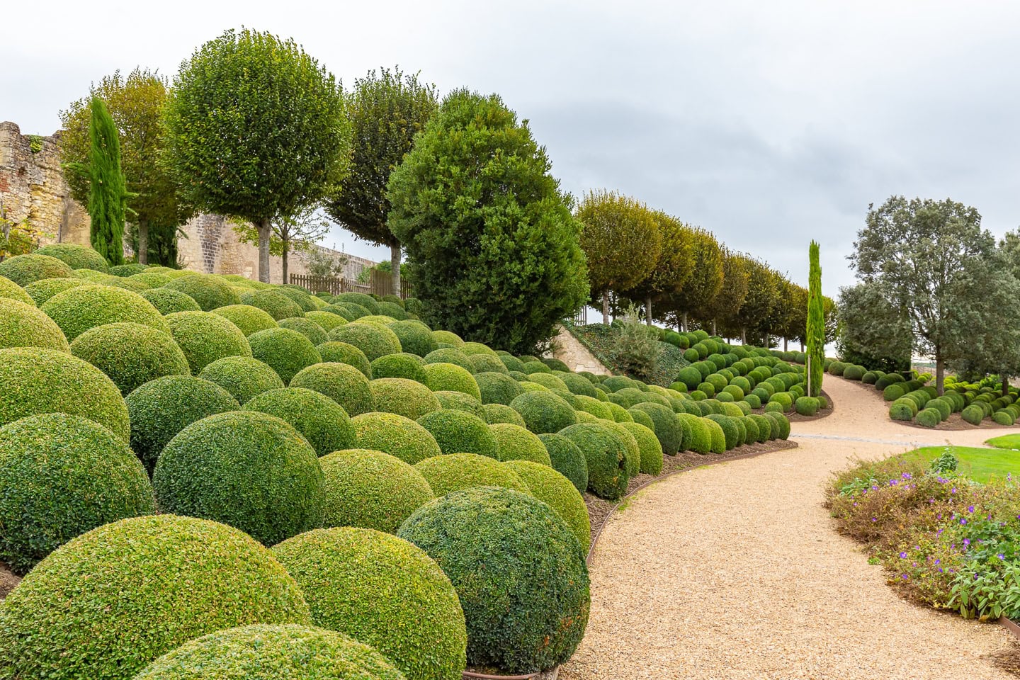 Manicured garden with neatly trimmed round shrubs, a winding gravel path, and rows of trees under a cloudy sky.