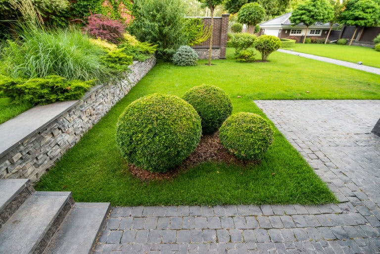 Boxwoods For Structure 24 Boxwood Landscaping Ideas To Add Structure And Style To Your Garden