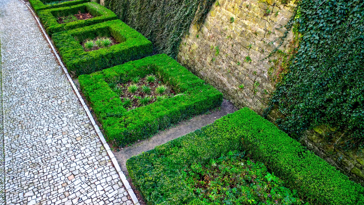 Four square hedge-bordered garden beds line a stone wall covered with ivy, next to a cobblestone pathway.