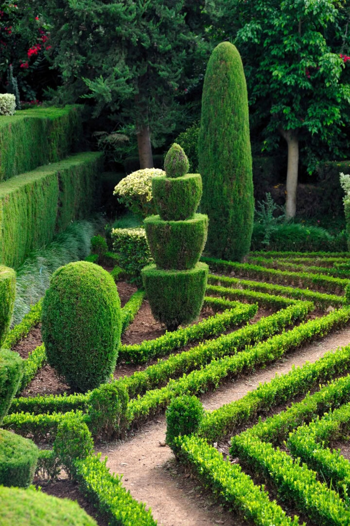 Create A Formal Garden With Boxwood Hedges - Gardener's Oasis