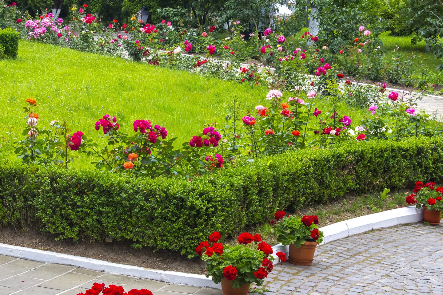 A landscaped garden with a trimmed hedge, colorful blooming flowers, potted red flowers, and a stone pathway.