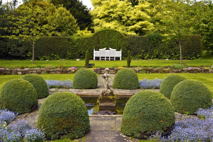 Boxwoods For Structure 24 Boxwood Landscaping Ideas To Add Structure And Style To Your Garden