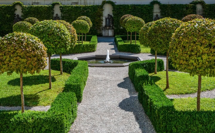 Boxwoods For Structure 24 Boxwood Landscaping Ideas To Add Structure And Style To Your Garden