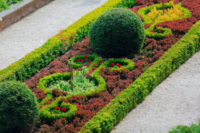 Boxwoods For Structure 24 Boxwood Landscaping Ideas To Add Structure And Style To Your Garden