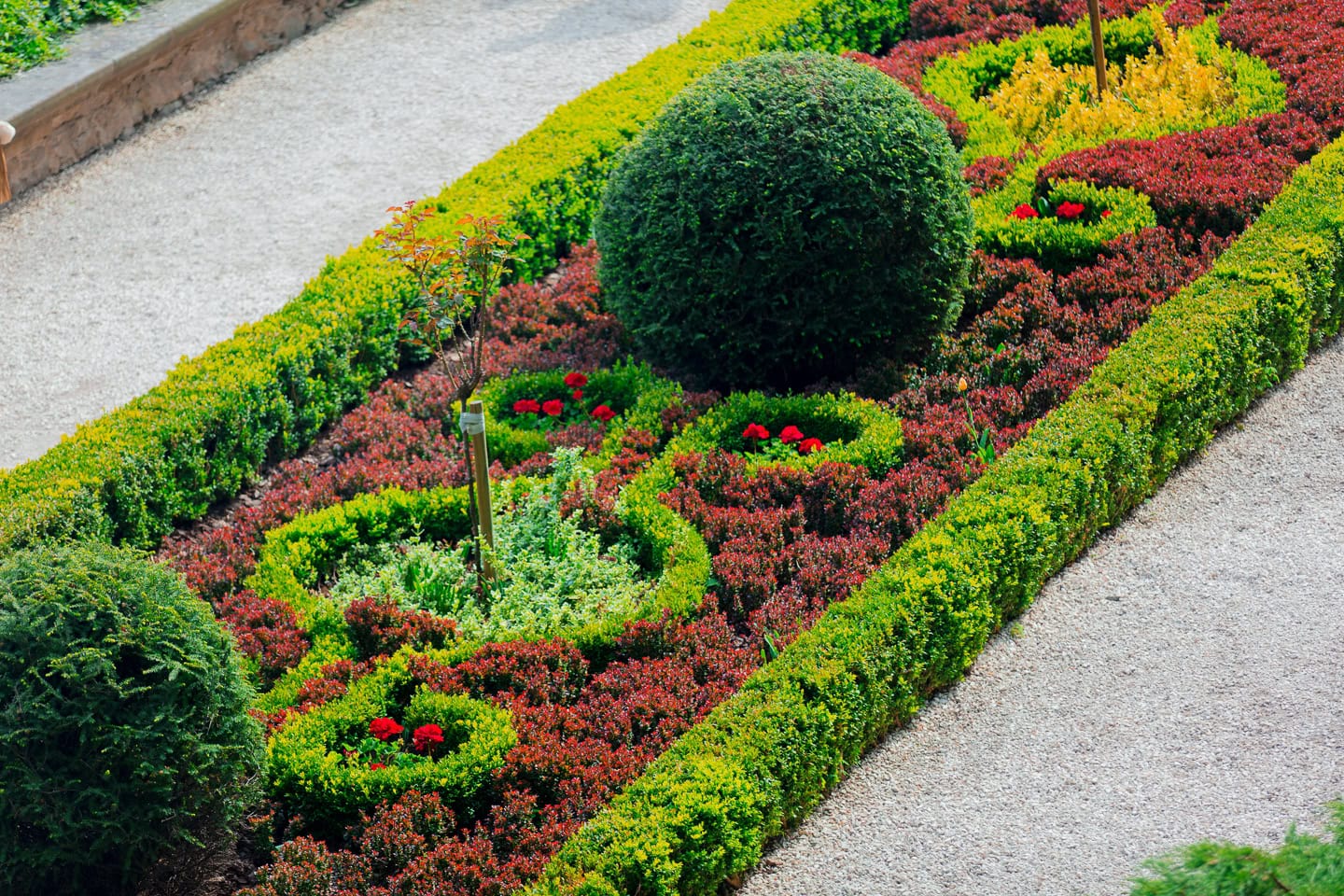 A formal garden bed with neatly trimmed hedges, red and green plants, a large round bush, and gravel pathways surrounding the arrangement.