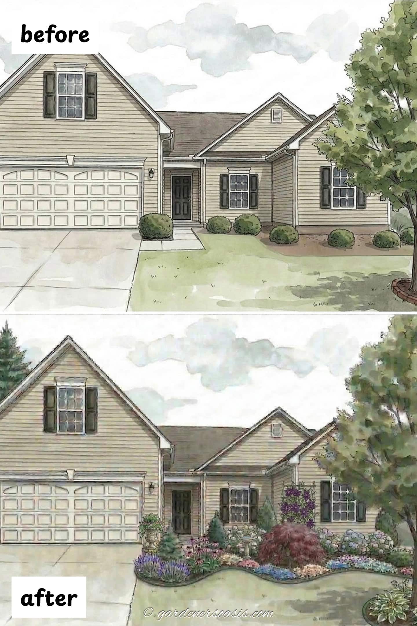 illustration of a before and after change in foundation planting