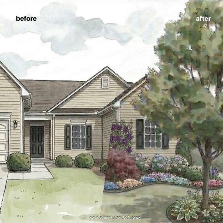 illustration of a "before" and "after" foundation planting