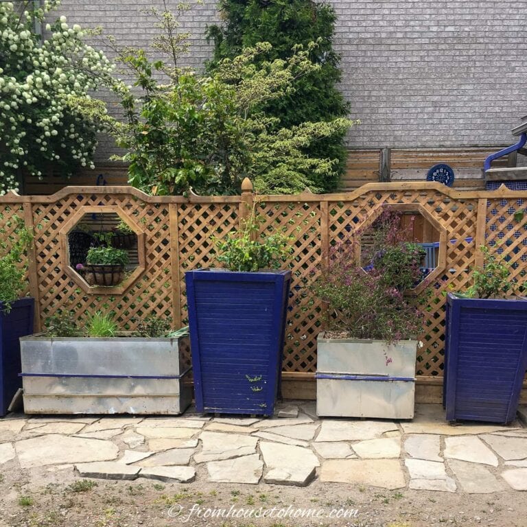 Backyard Privacy Ideas For Screening Neighbors Out