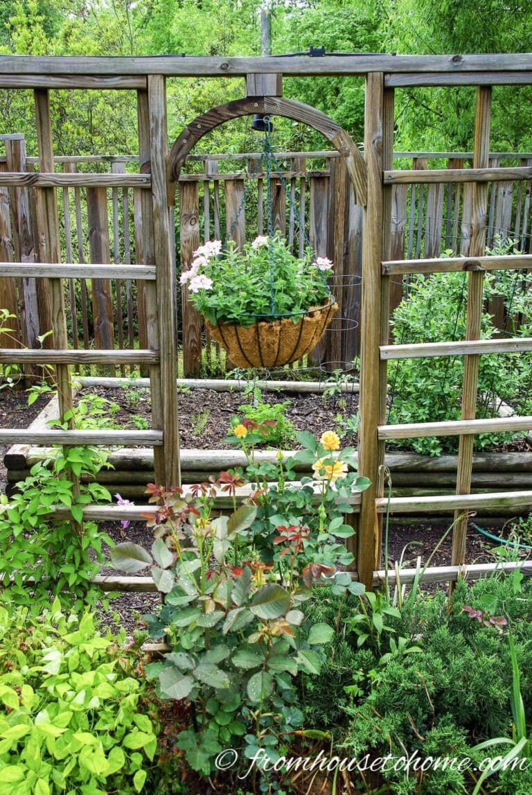 DIY Backyard Ideas (15 Awesome Projects To Build A Better Yard)