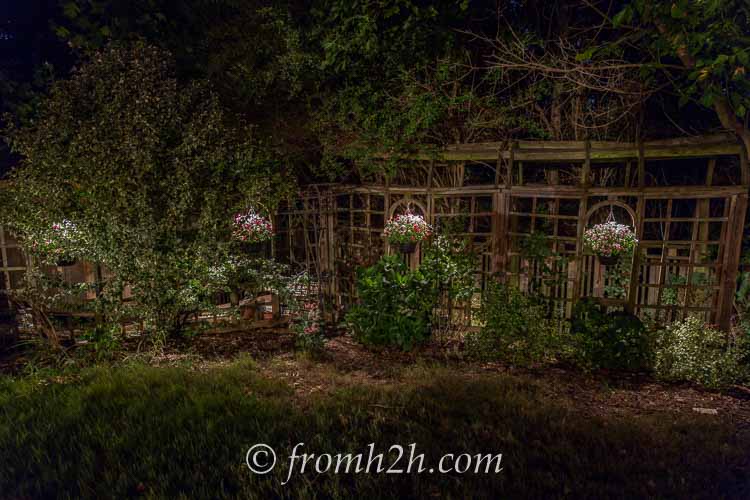 How To Design And Install Landscape Lighting In Your Yard