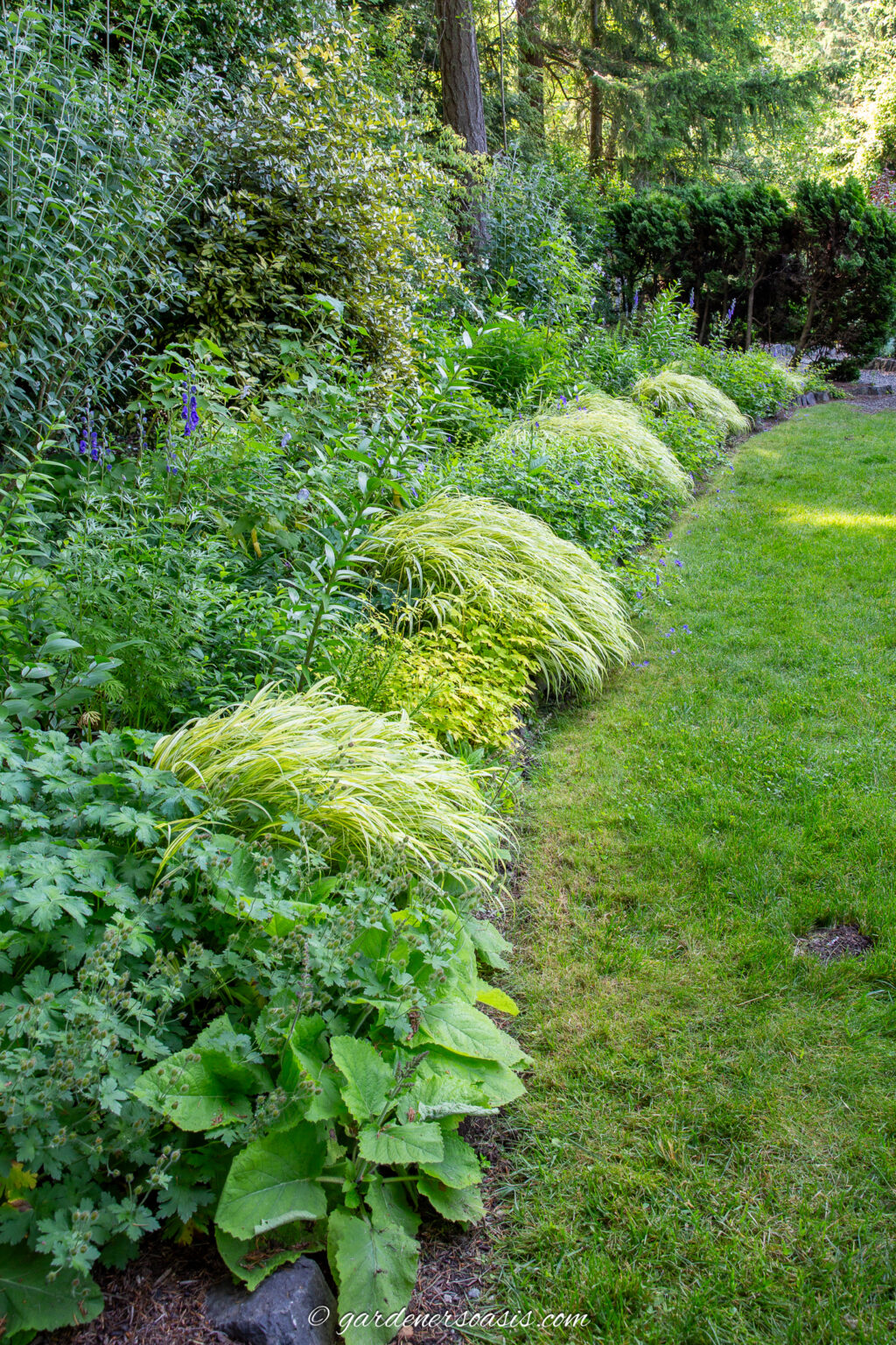 10 Shade Garden Bed Design Tips (Using Real Garden Examples)