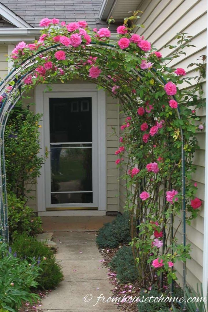 Zepherine Drouin Over an Arbor