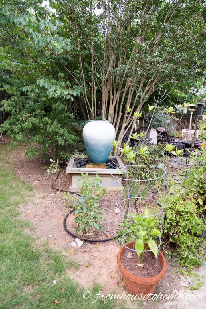 Test your watering system to make sure it is working