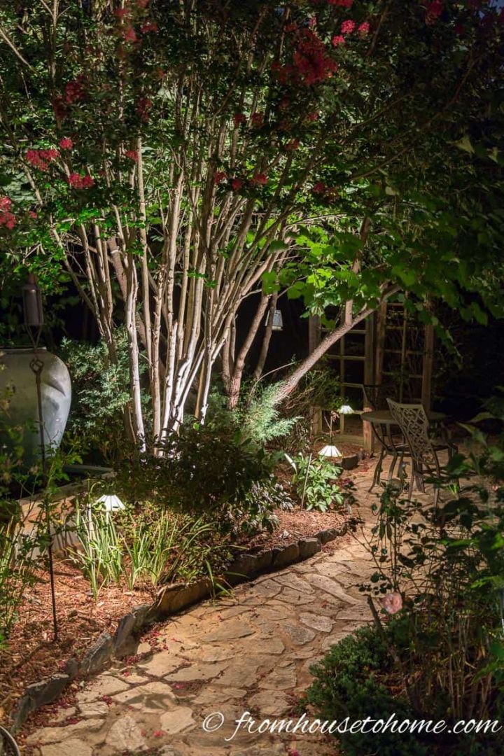 Uplighting interesting tree trunks