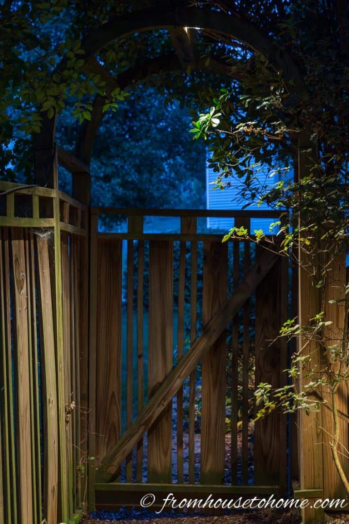 Downlight an arbor
