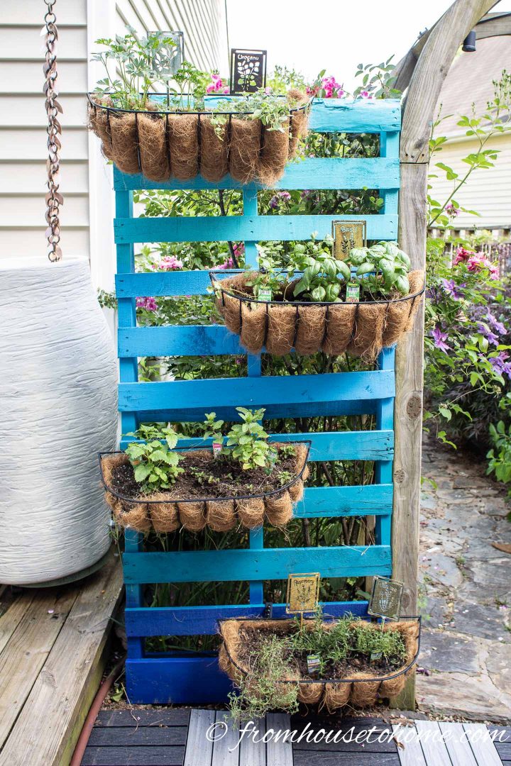 DIY vertical herb garden made with a pallet
