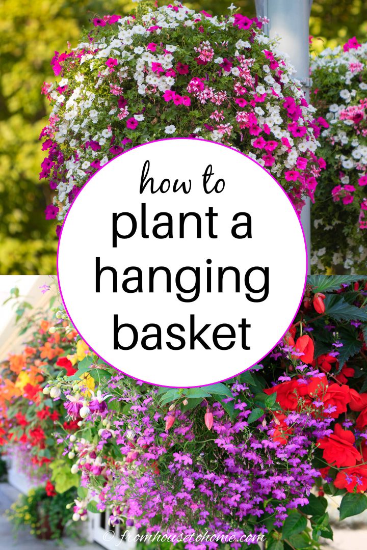 how to plant a hanging basket