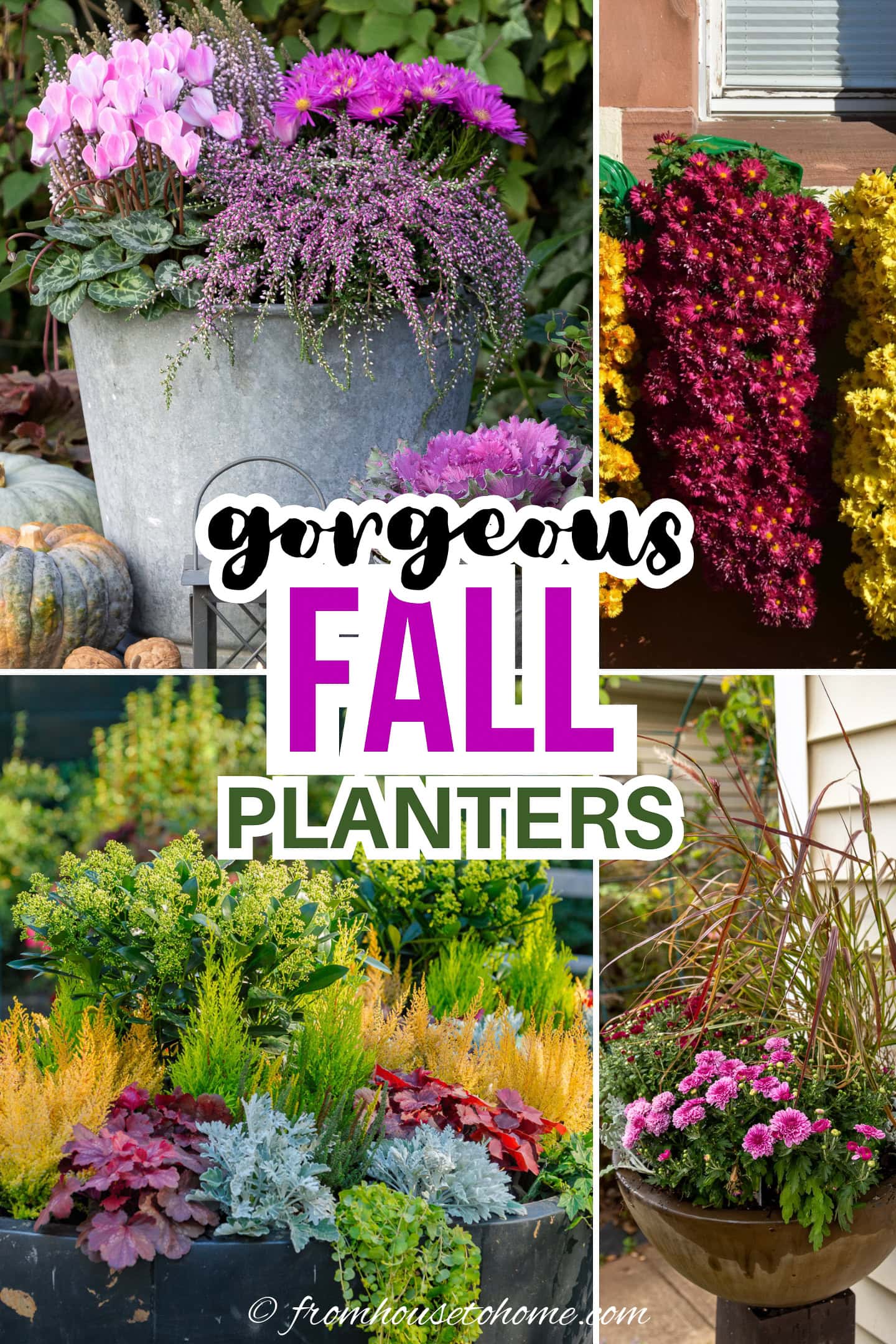 gorgeous fall planters
